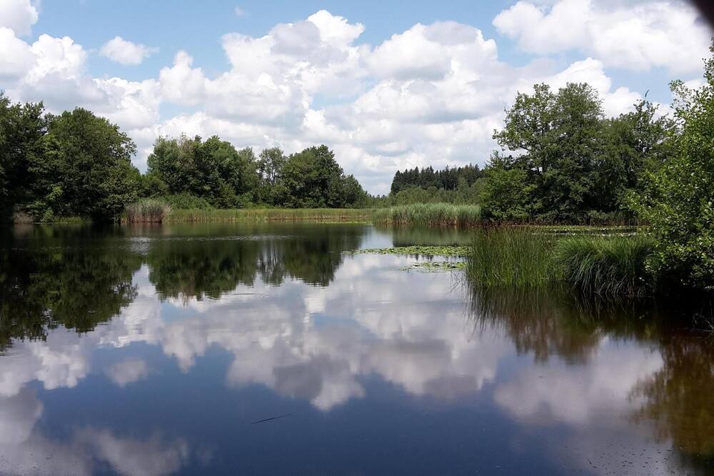 Photo of Outdoor in Hergensweiler