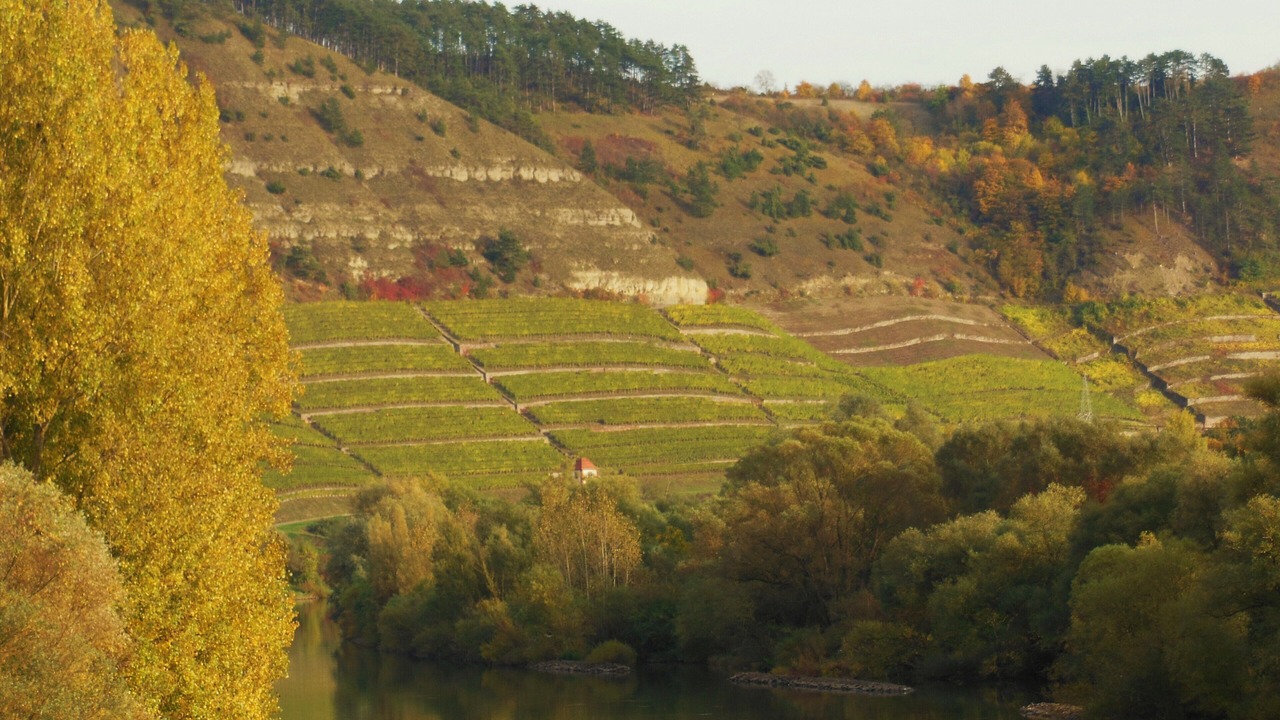 Photo of Outdoor in Lengfurt