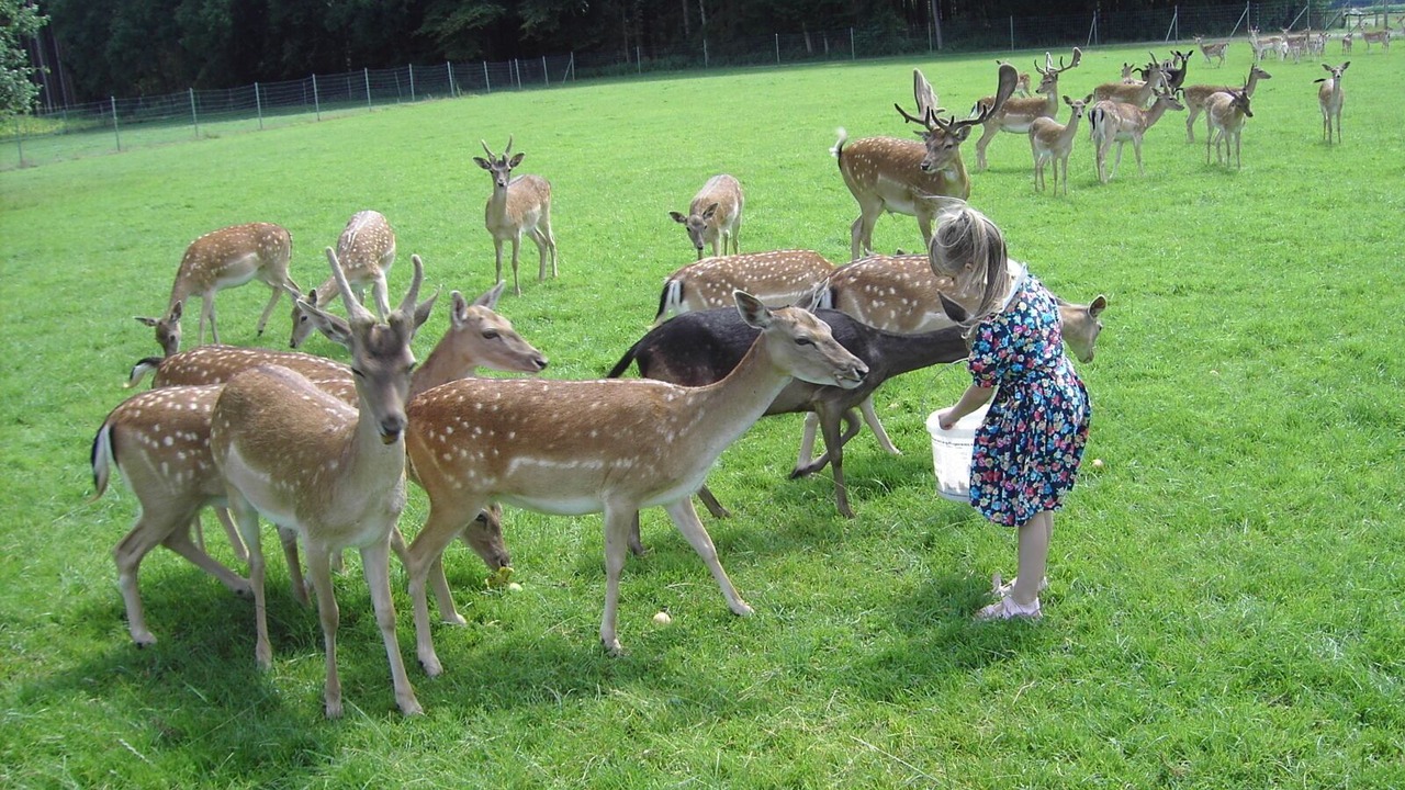 Photo of Others in Birkach