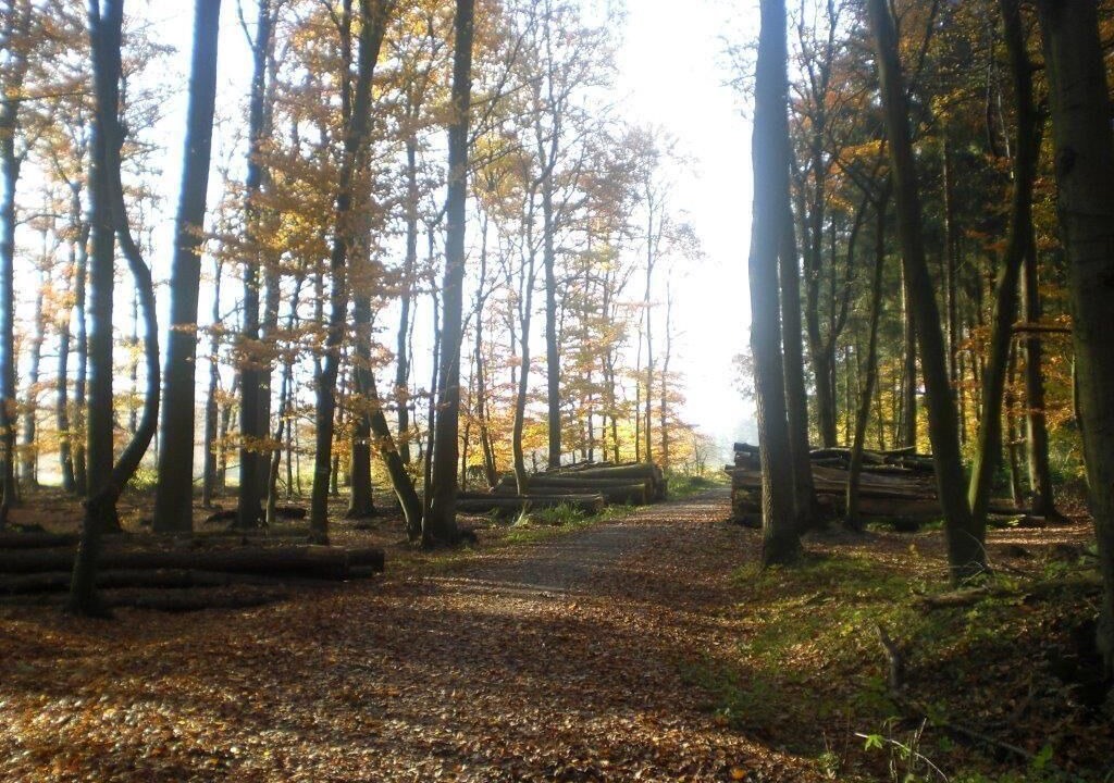Photo of Outdoor in Havixbeck
