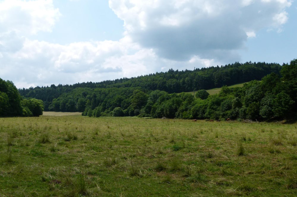 Photo of Outdoor in Schondra