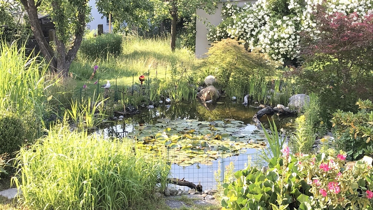 Photo of Outdoor in Fischbach
