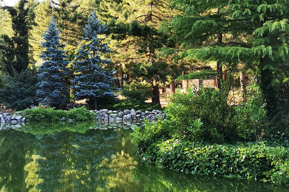 Photo of Outdoor in Riopar Viejo