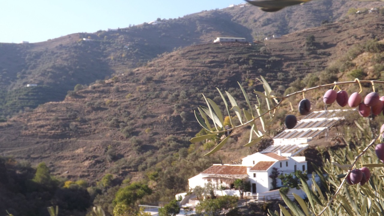 Photo of Outdoor in Competa