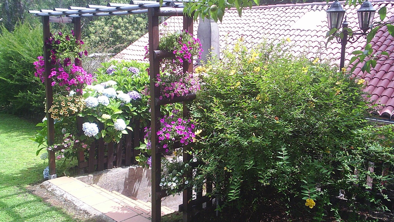 Photo of Outdoor in Boiro