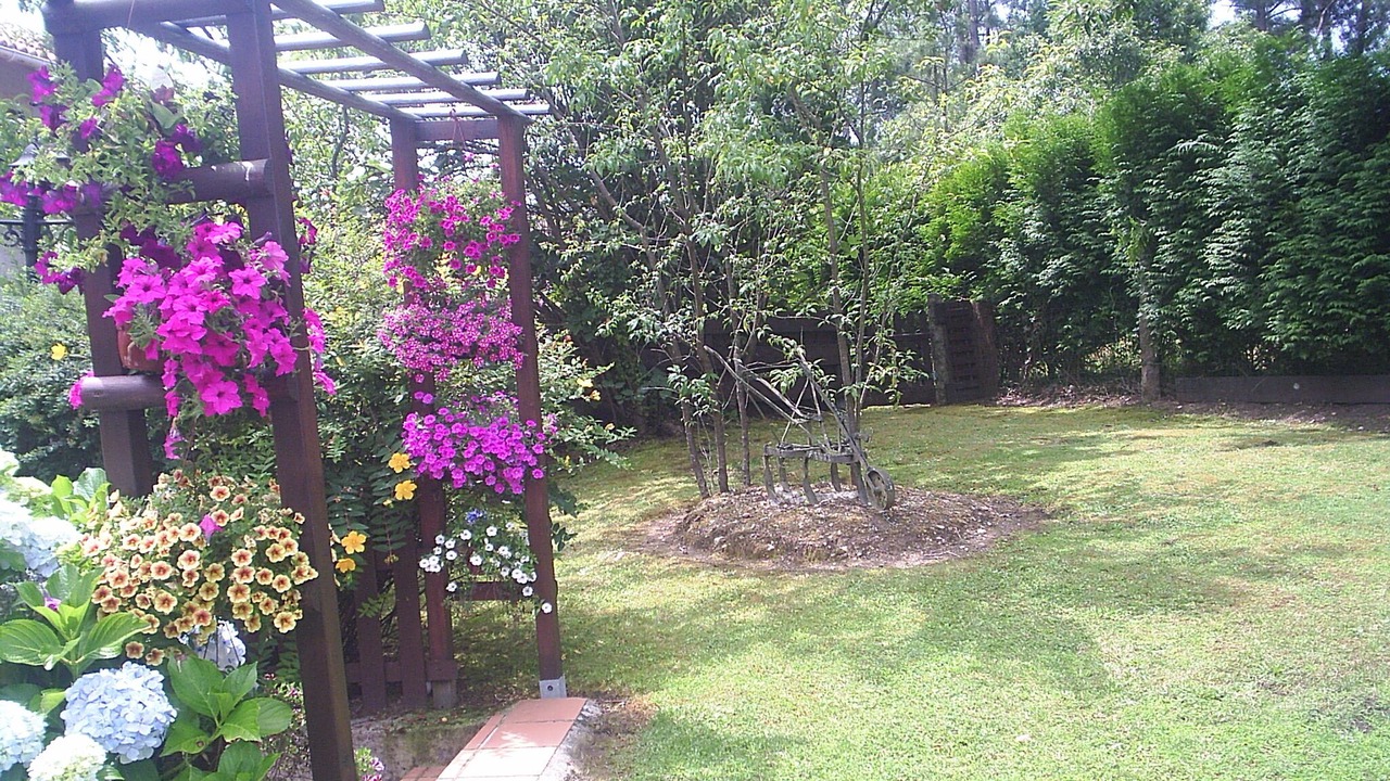 Photo of Outdoor in Boiro