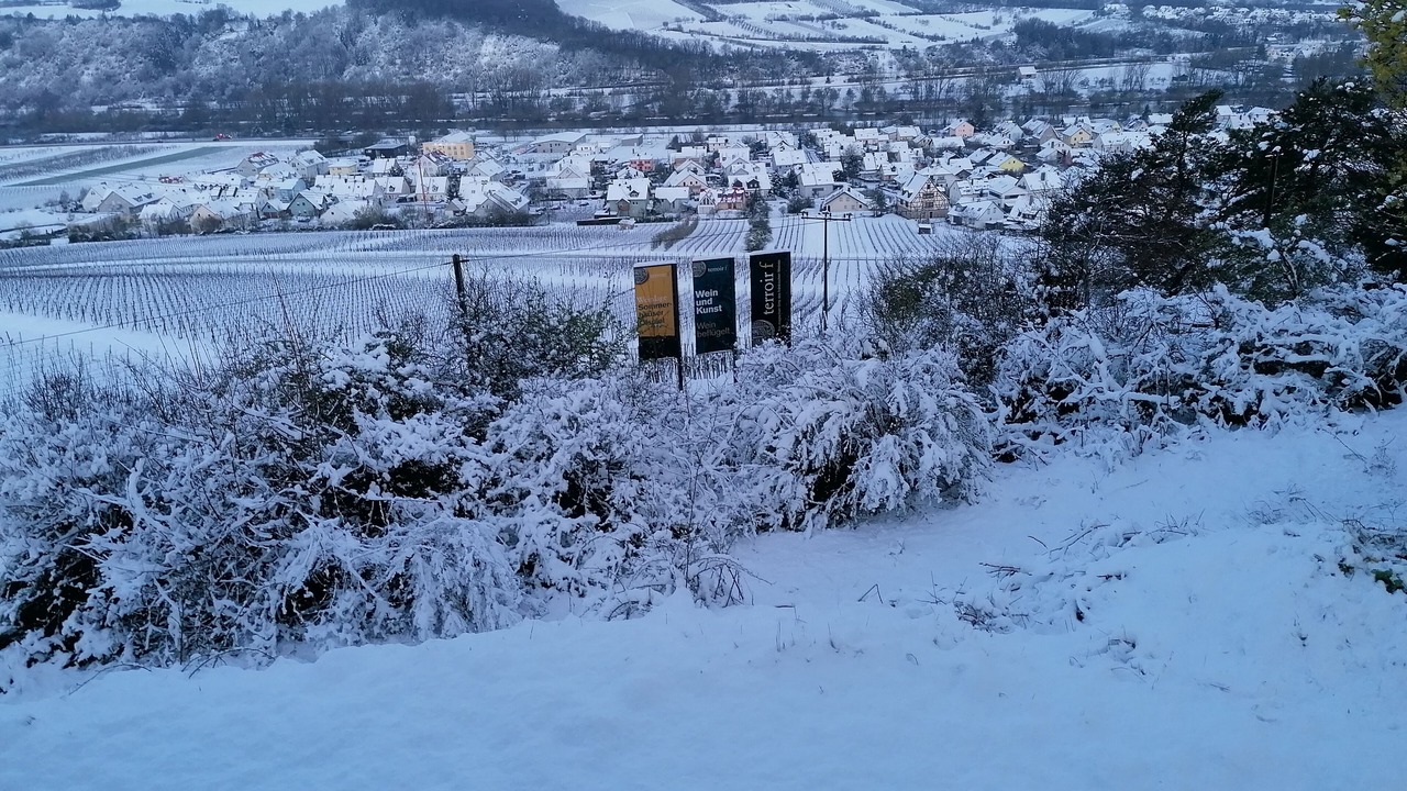 Photo of Outdoor in Sommerhausen
