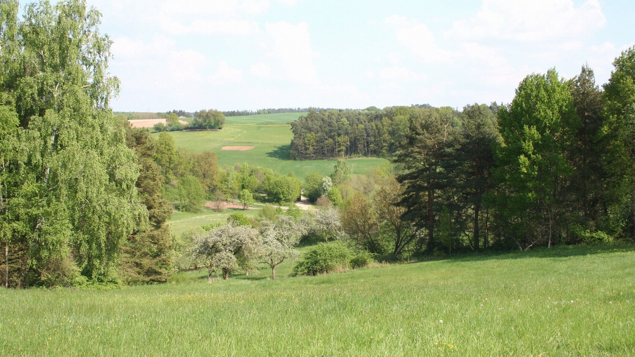 Photo of Outdoor in Enderndorf am See