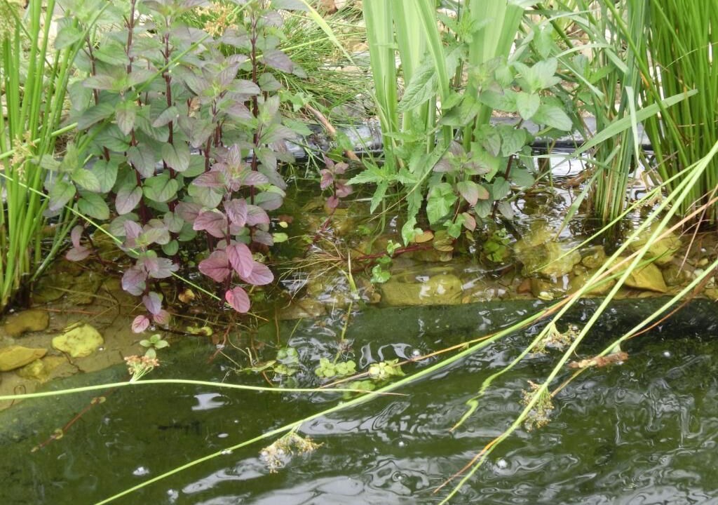 Photo of Outdoor in Neutraubling
