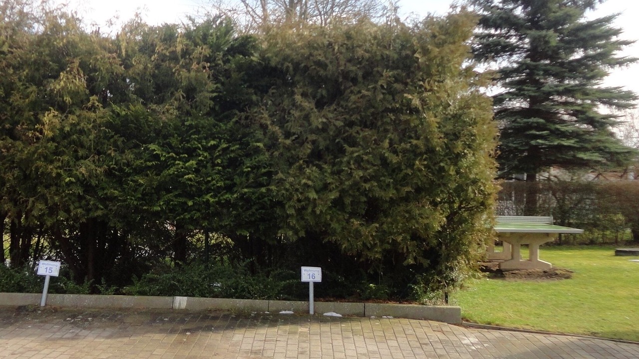 Photo of Outdoor in Waase