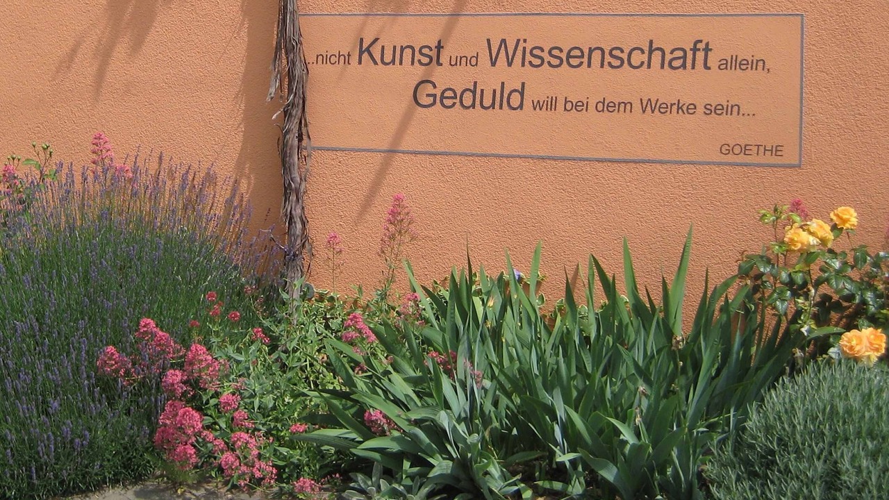 Photo of Outdoor in Willanzheim
