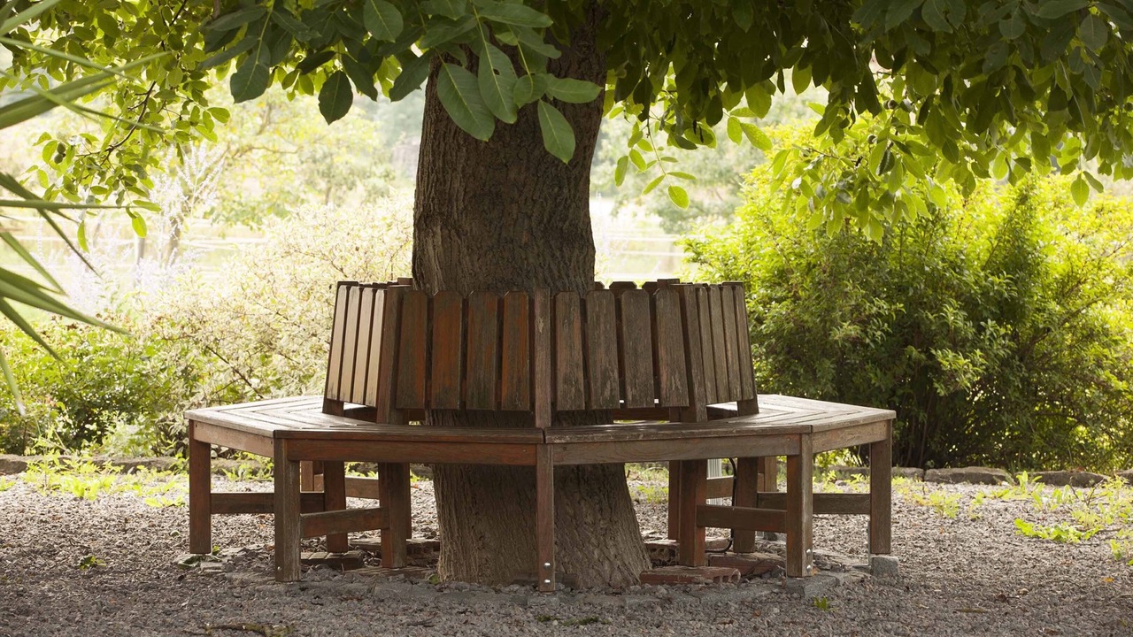 Photo of Outdoor in Willanzheim