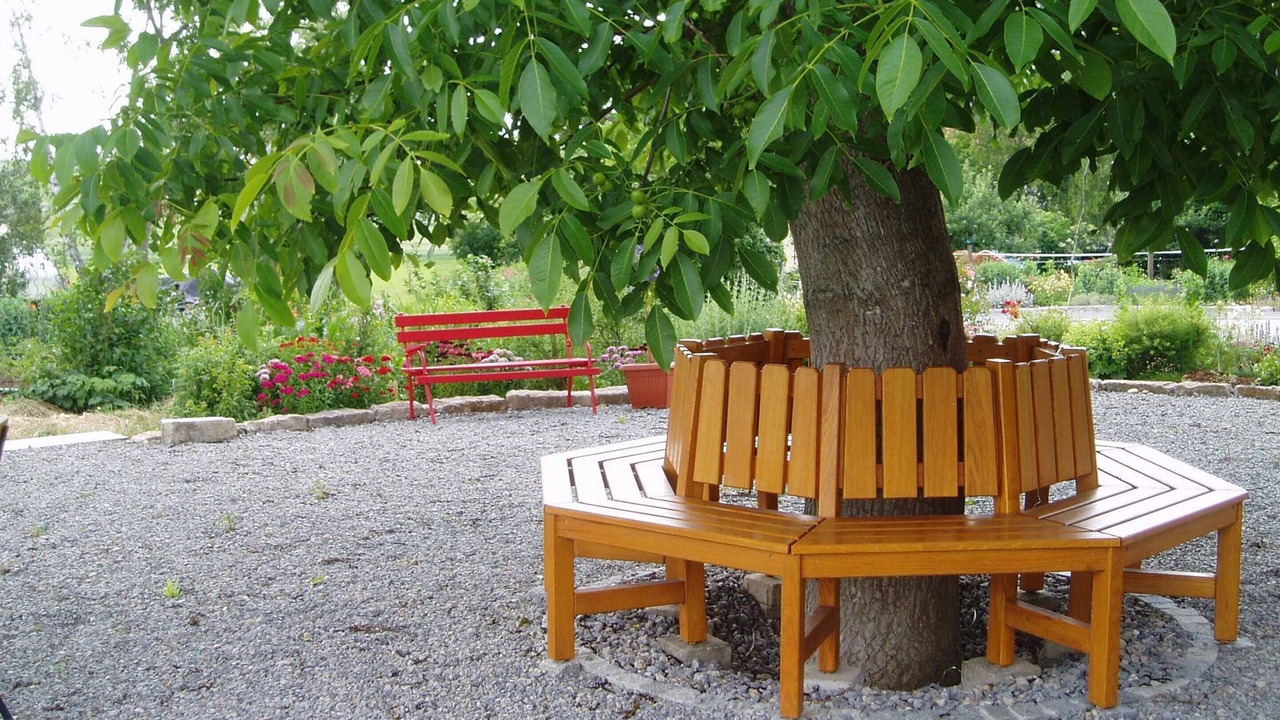 Photo of Outdoor in Willanzheim