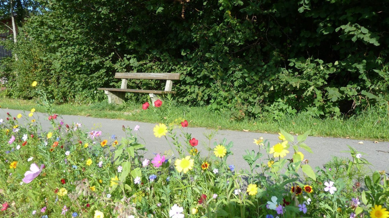 Photo of Outdoor in Sonnen