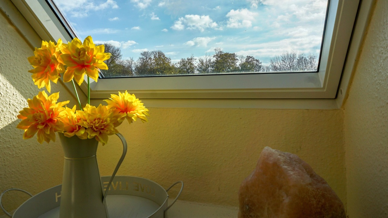 Photo of Others in Vitzdorf