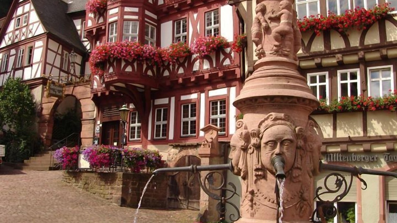 Photo of Outdoor in Miltenberg