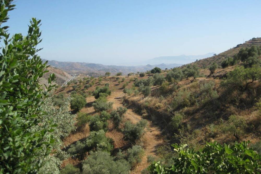Photo of Outdoor in Almogia