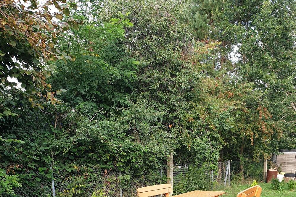 Photo of Outdoor in Warthe