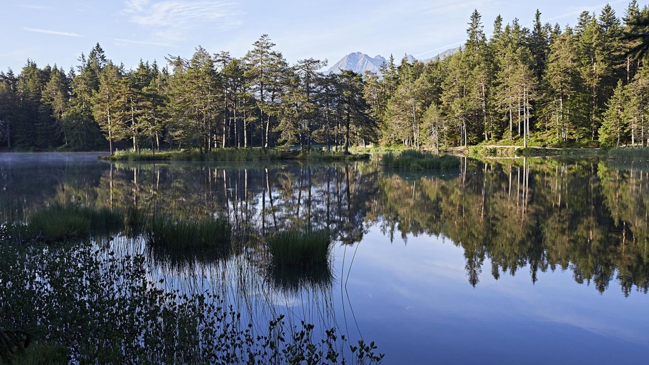 Photo of Outdoor in Mosern