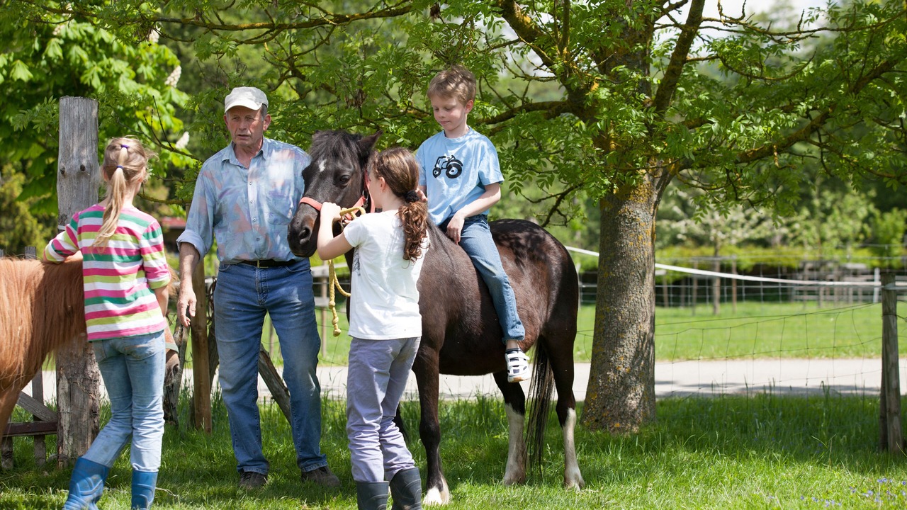 Photo of Outdoor in Schnelldorf