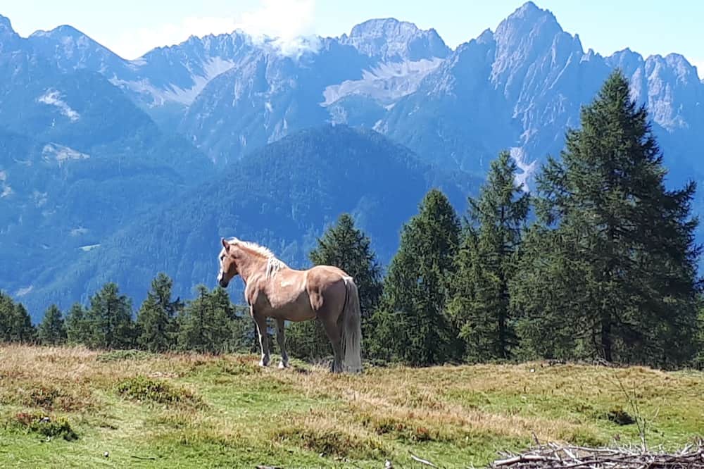 Photo of Outdoor in Iselsberg-Stronach