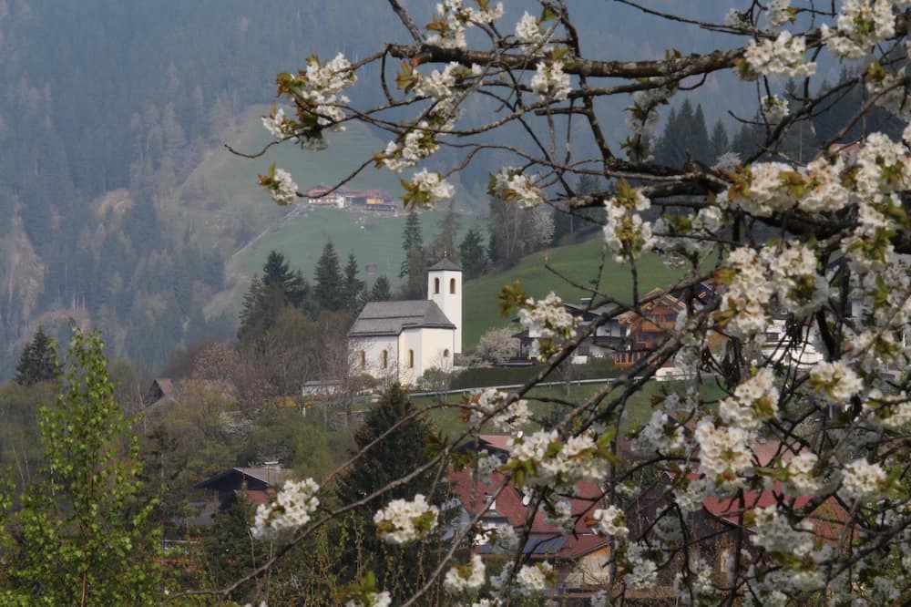 Photo of Outdoor in Iselsberg-Stronach