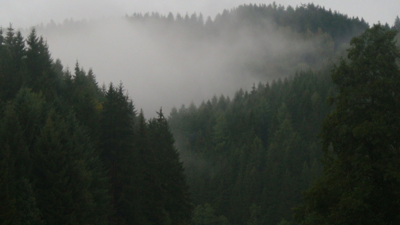 Photo of Outdoor in Wilhelmsthal