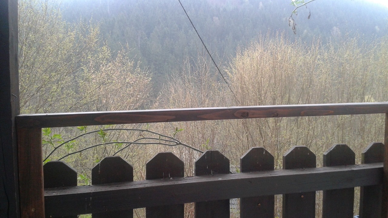 Photo of Outdoor in Wilhelmsthal