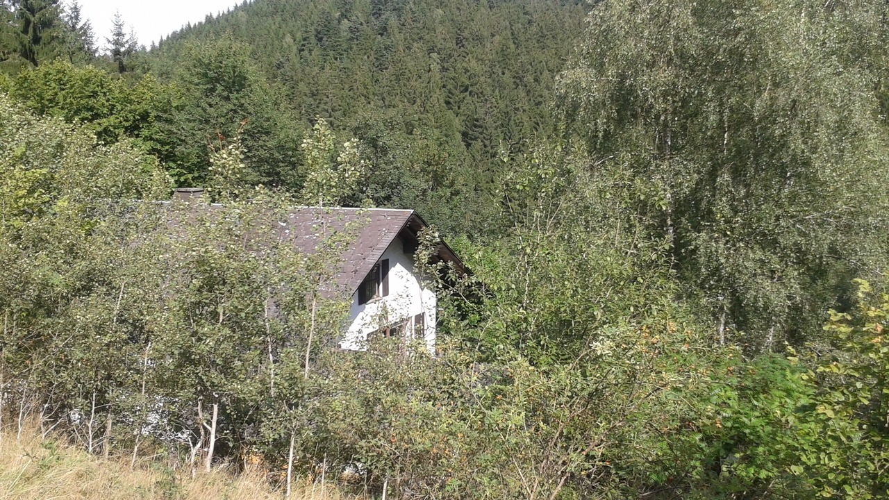 Photo of Others in Wilhelmsthal