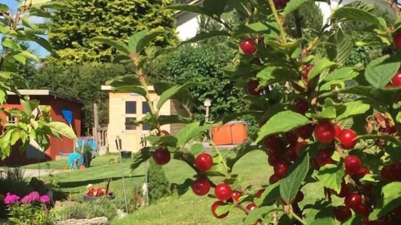 Photo of Outdoor in Hohenau