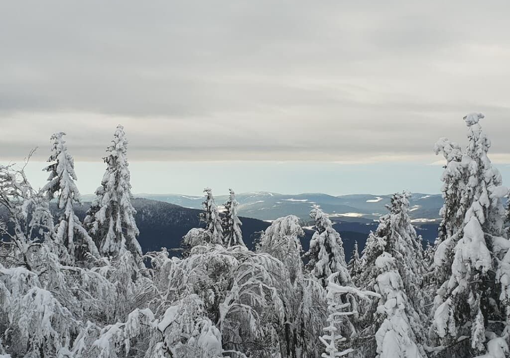 Photo of Others in Rimbach