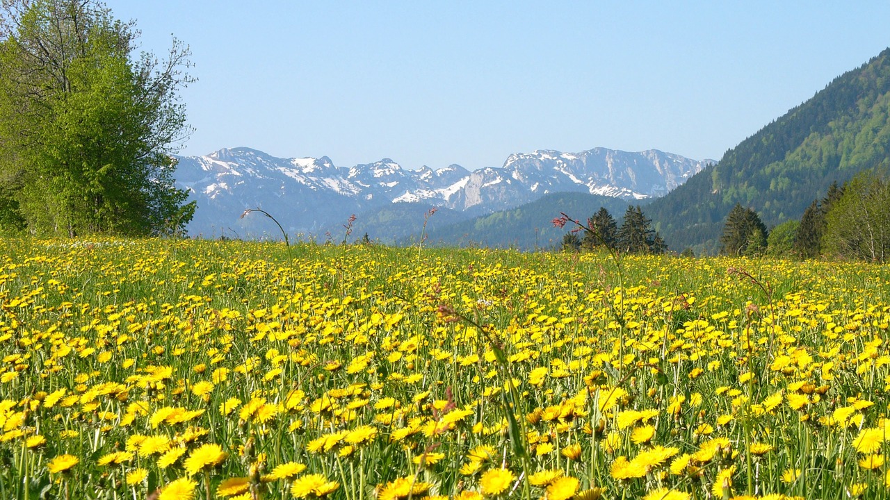Photo of Outdoor in Konigsdorf