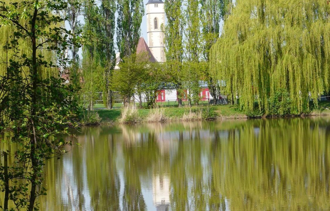 Photo of Outdoor in Iphofen
