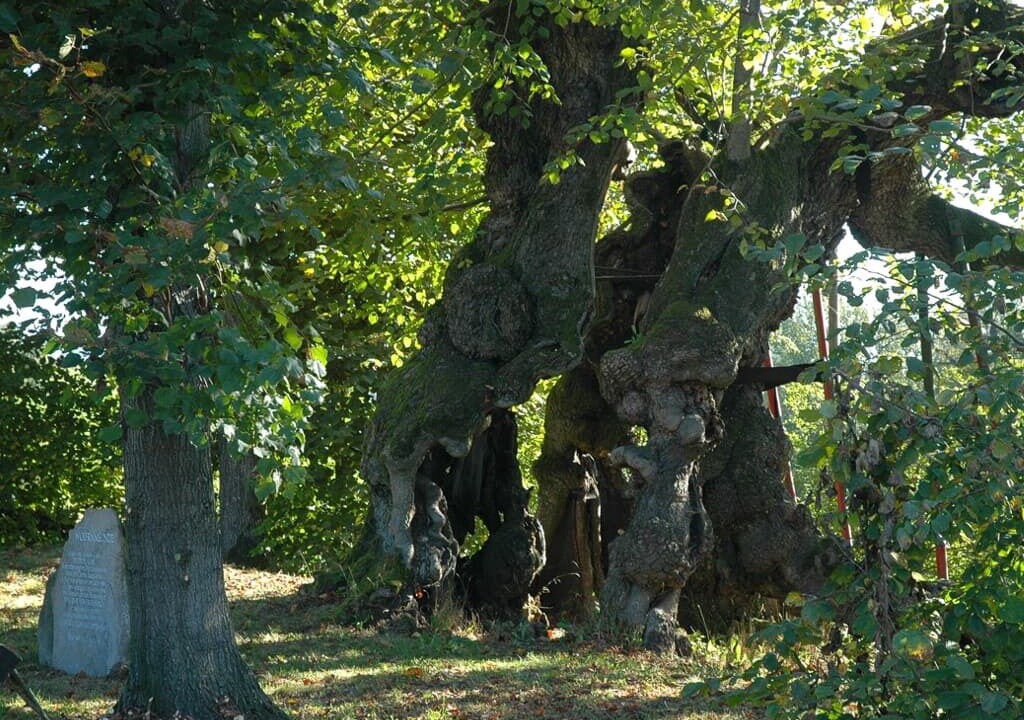 Photo of Outdoor in Blaibach
