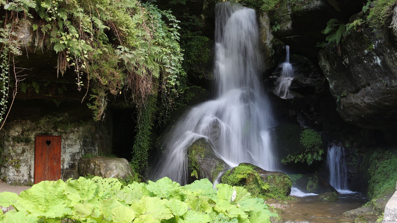 Photo of Outdoor in Kirnitzschtal