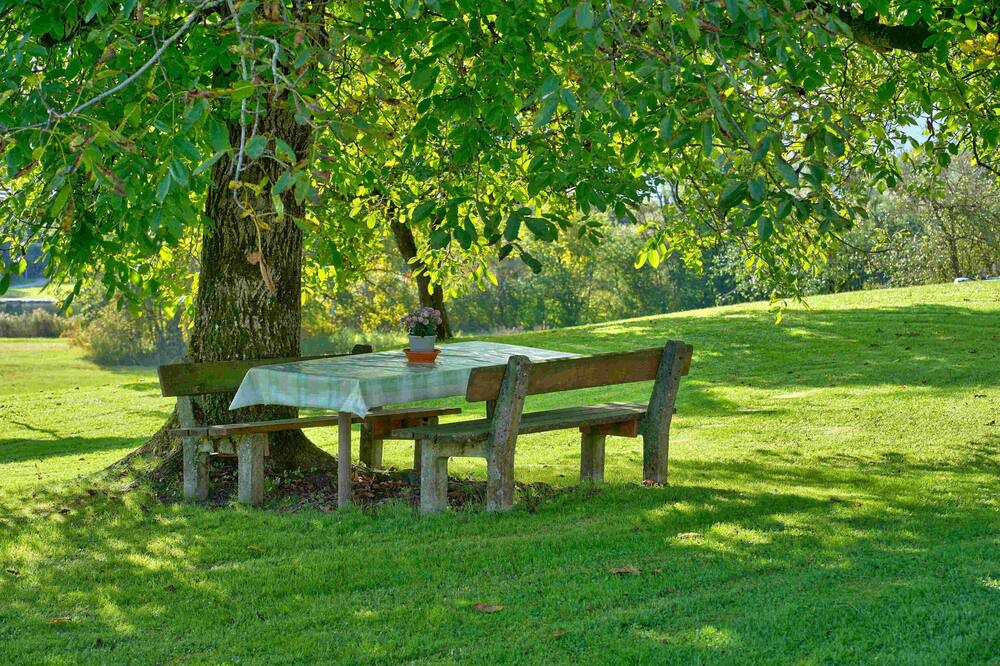Photo of Outdoor in Seeon-Seebruck
