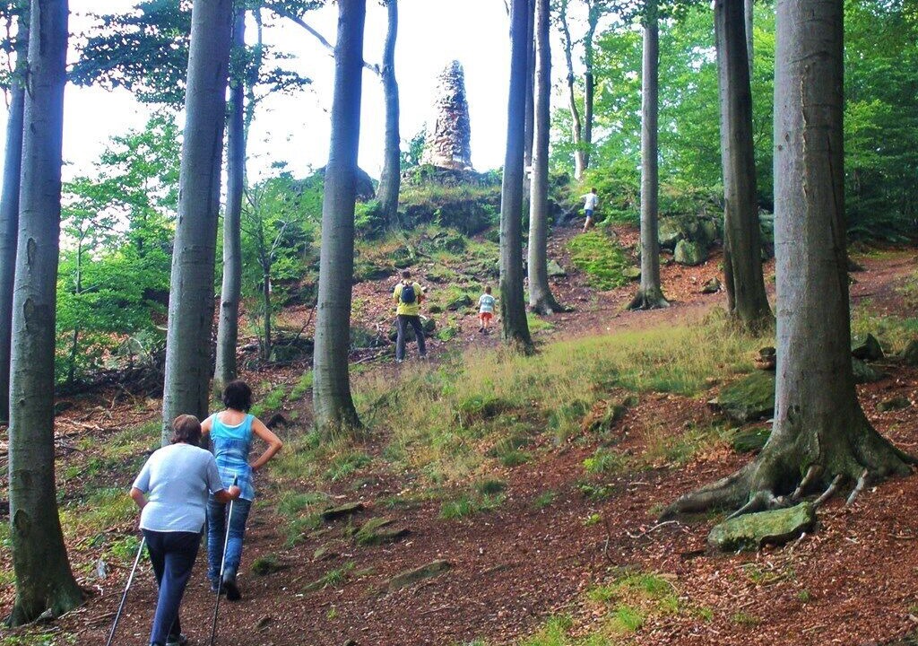 Photo of Outdoor in Herzogau