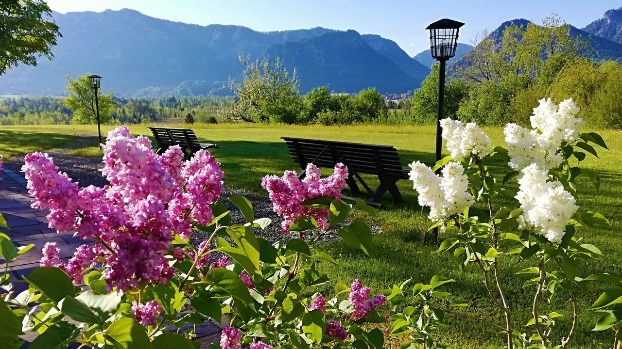 Photo of Outdoor in Windgrat