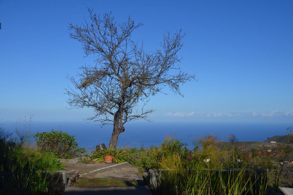 Photo of Others in Puntagorda