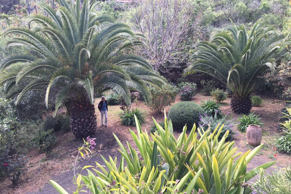 Photo of Outdoor in Puntagorda