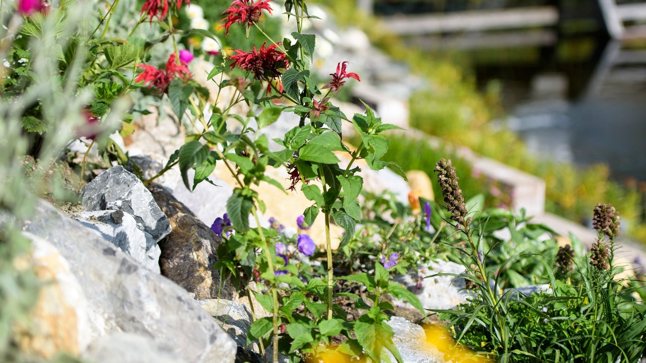 Photo of Outdoor in Schnann