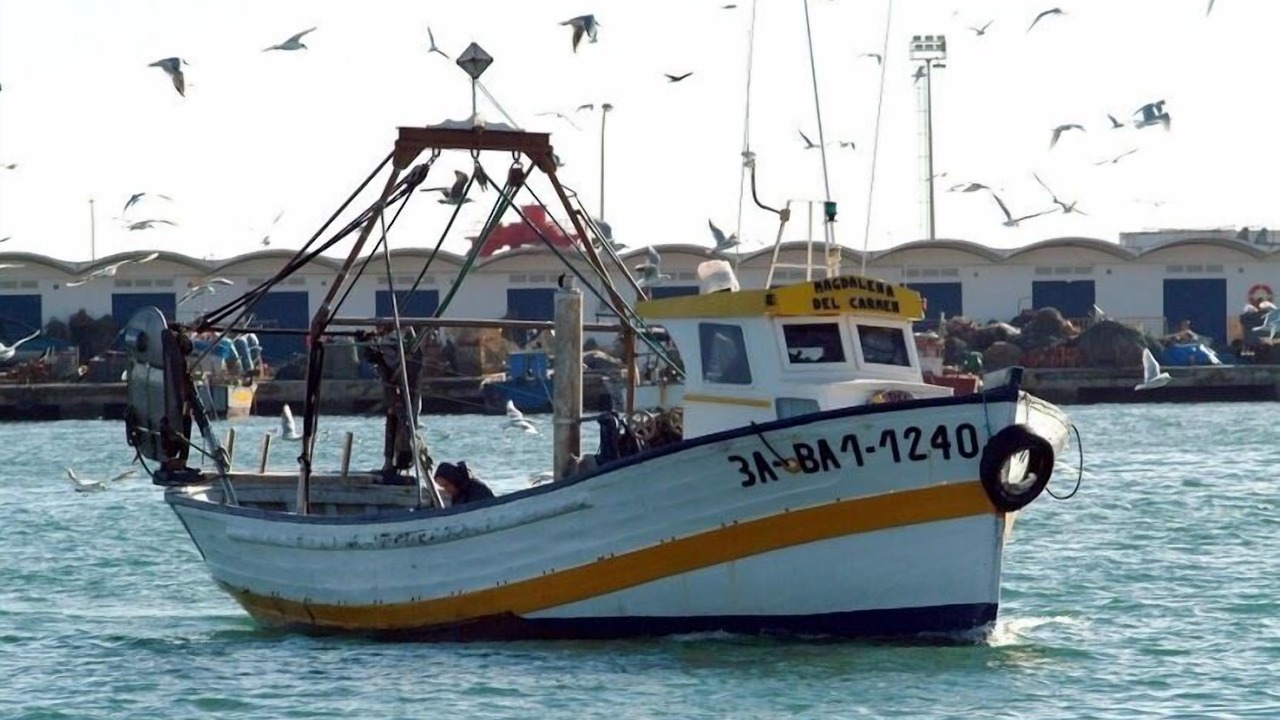 Photo of Others in Vilanova I la Geltru