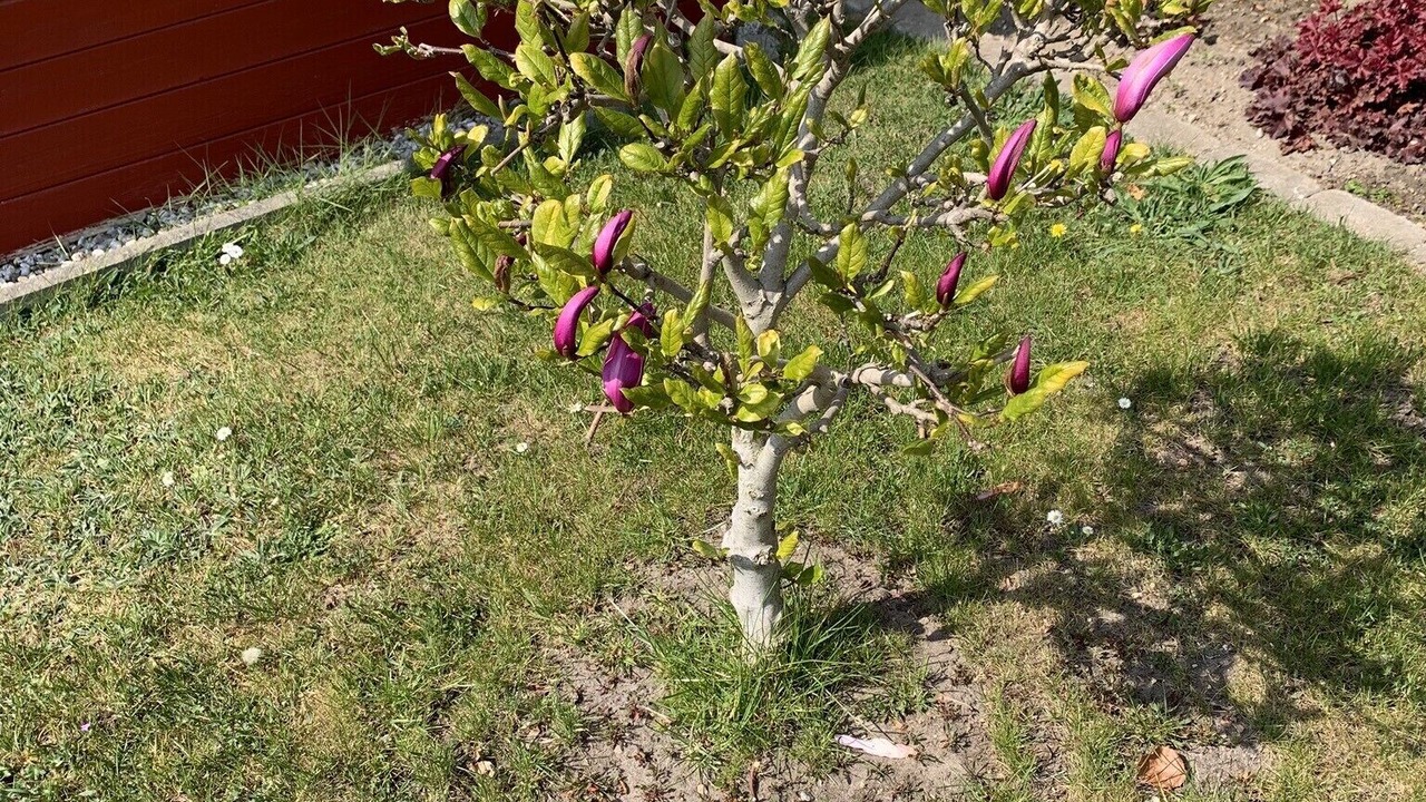Photo of Outdoor in Sereetz