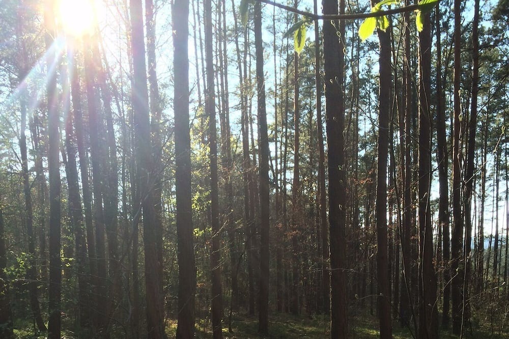 Photo of Outdoor in Robersdorf