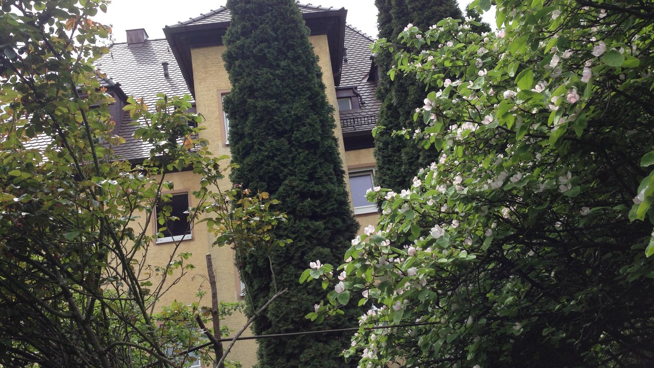 Photo of Outdoor in Forchheim