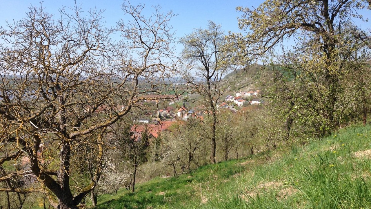 Photo of Outdoor in Ebelsbach
