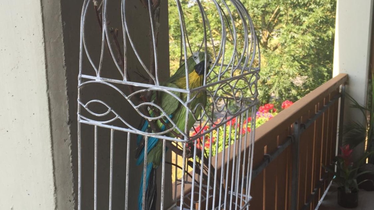 Photo of Patio Balcony in Ebelsbach