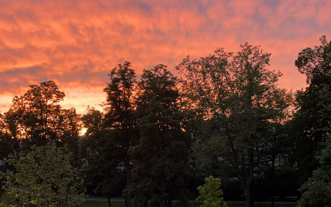 Photo of Outdoor in Frauenland