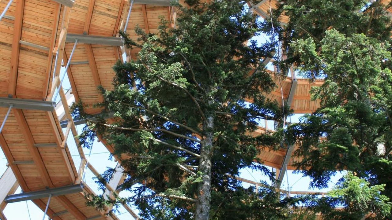 Photo of Outdoor in Hohenau