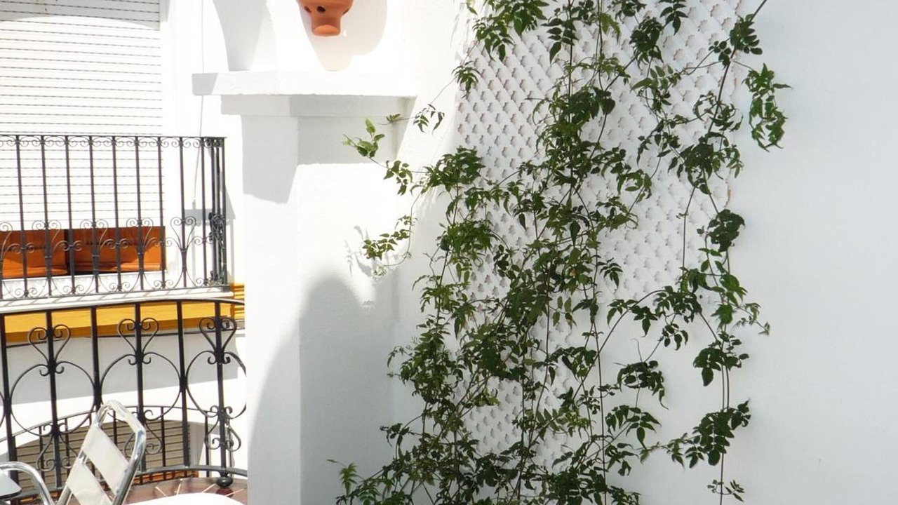 Photo of Others in Mojacar